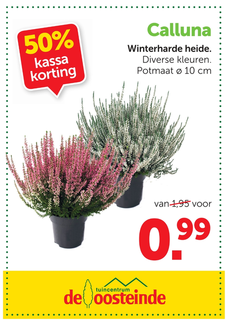 Calluna