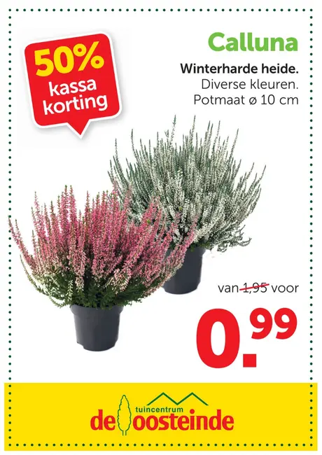 Calluna (winterharde heide): 50% kassakorting