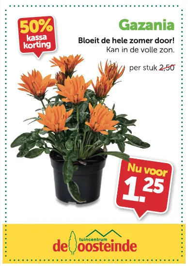 Gazania