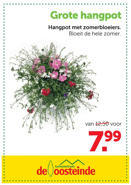 Grote hangpot met zomerbloeiers