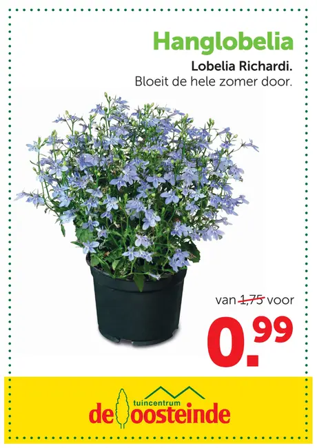 Hanglobelia