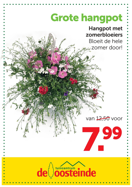 Hangpot vol zomerbloeiers