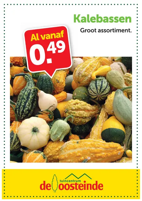 Herfstige kalebassen: al vanaf €0,49 per stuk