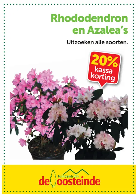 Rhododendron & Azalea