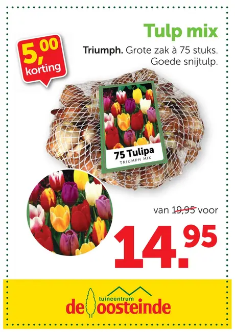 Triumph tulpenbollen mix (75 stuks): 14,95