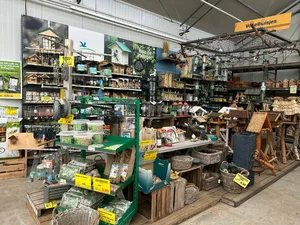 De zomer van de Oosteinde Hillegom!