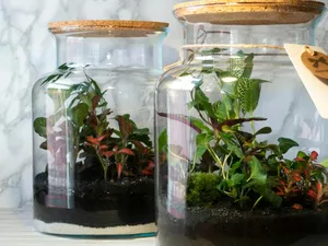 Potterie en buitenpotten