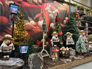 Kerstshow Hillegom 2025