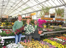 Eenjarige planten (perkplanten) die bloeien en kruiden die smaken.