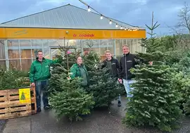 Welke kerstboom kiest u? | De ultieme kerstsfeer bij de Oosteinde