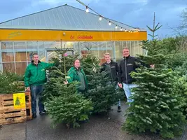 Welke kerstboom kiest u? | De ultieme kerstsfeer bij de Oosteinde