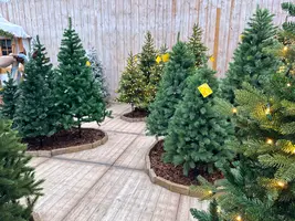 Kunstkerstboom kopen | Tuincentrum De Oosteinde